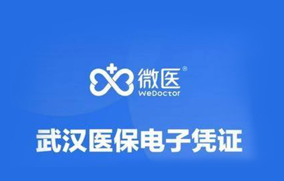 武汉电子医保凭证.png
