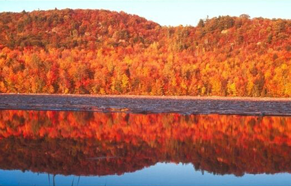 秋色,秋香,秋正浓,一起去【超钜微检】领略深圳密封测漏仪别样美 秋色,秋香,秋正浓,一起去【超钜微检】领略深圳密封测漏仪别样美