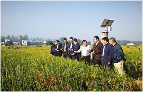 亩产1365公斤之锅炉阀门检漏仪帮助生产效率再提升!【超钜微检】 亩产1365公斤之锅炉阀门检漏仪帮助生产效率再提升!【超钜微检】